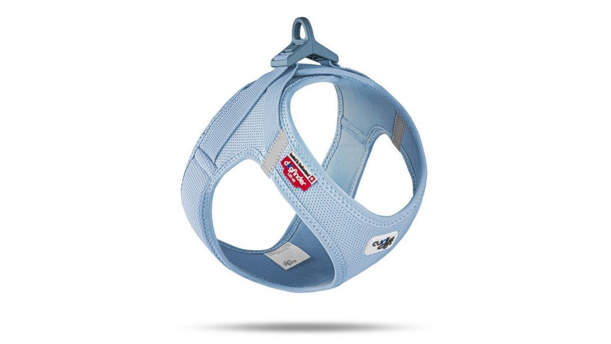 5456ecd0-74c8-11ef-8d83-e257a478f433_curli_mesh_skyblue.jpg