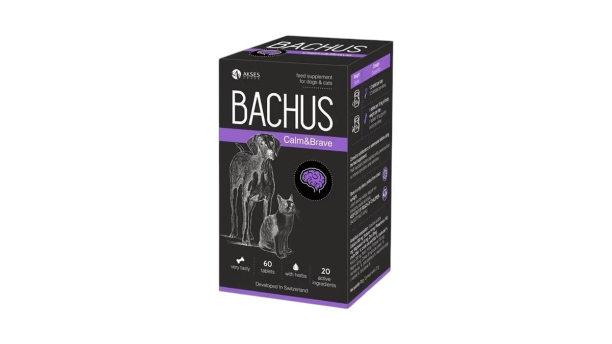 bachus-candb